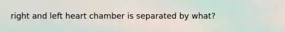 right and left heart chamber is separated by what?