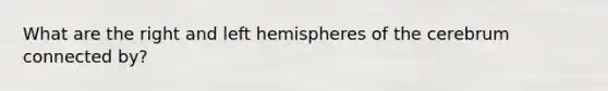 What are the right and left hemispheres of the cerebrum connected by?