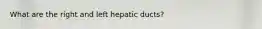 What are the right and left hepatic ducts?