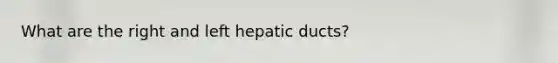 What are the right and left hepatic ducts?