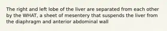 The right and left lobe of the liver are separated from each other by the WHAT, a sheet of mesentery that suspends the liver from the diaphragm and anterior abdominal wall