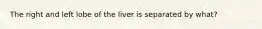 The right and left lobe of the liver is separated by what?