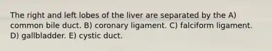 The right and left lobes of the liver are separated by the A) common bile duct. B) coronary ligament. C) falciform ligament. D) gallbladder. E) cystic duct.