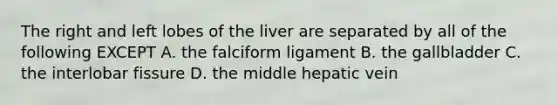 The right and left lobes of the liver are separated by all of the following EXCEPT A. the falciform ligament B. the gallbladder C. the interlobar fissure D. the middle hepatic vein