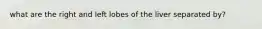 what are the right and left lobes of the liver separated by?