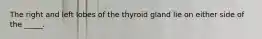 The right and left lobes of the thyroid gland lie on either side of the _____.