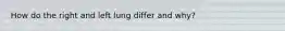 How do the right and left lung differ and why?