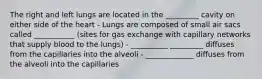 The right and left lungs are located in the _________ cavity on either side of the heart - Lungs are composed of small air sacs called ___________ (sites for gas exchange with capillary networks that supply blood to the lungs) - __________ _________ diffuses from the capillaries into the alveoli - _____________ diffuses from the alveoli into the capillaries