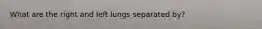 What are the right and left lungs separated by?