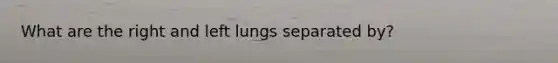 What are the right and left lungs separated by?