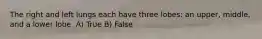 The right and left lungs each have three lobes: an upper, middle, and a lower lobe. A) True B) False