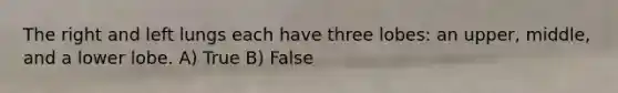 The right and left lungs each have three lobes: an upper, middle, and a lower lobe. A) True B) False