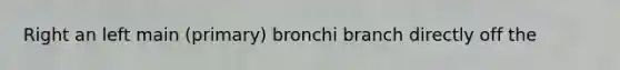 Right an left main (primary) bronchi branch directly off the