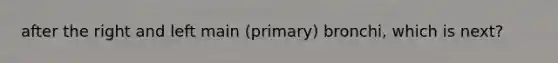 after the right and left main (primary) bronchi, which is next?