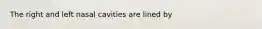 The right and left nasal cavities are lined by