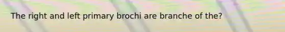 The right and left primary brochi are branche of the?