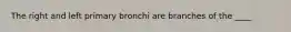 The right and left primary bronchi are branches of the ____