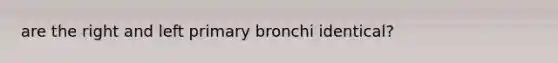 are the right and left primary bronchi identical?