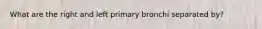 What are the right and left primary bronchi separated by?