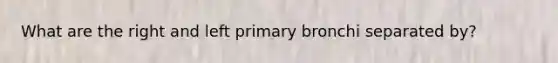 What are the right and left primary bronchi separated by?