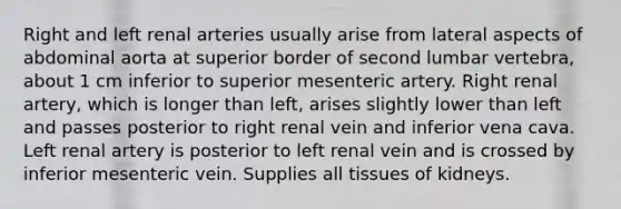 Right and left renal arteries usually arise from lateral aspects of abdominal aorta at superior border of second lumbar vertebra, about 1 cm inferior to superior mesenteric artery. Right renal artery, which is longer than left, arises slightly lower than left and passes posterior to right renal vein and inferior vena cava. Left renal artery is posterior to left renal vein and is crossed by inferior mesenteric vein. Supplies all tissues of kidneys.