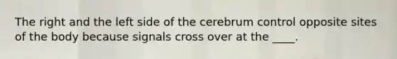 The right and the left side of the cerebrum control opposite sites of the body because signals cross over at the ____.