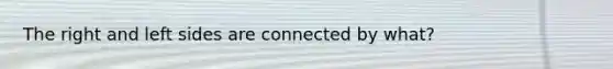 The right and left sides are connected by what?