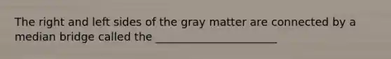 The right and left sides of the gray matter are connected by a median bridge called the ______________________