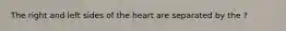 The right and left sides of the heart are separated by the ?