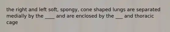 the right and left soft, spongy, cone shaped lungs are separated medially by the ____ and are enclosed by the ___ and thoracic cage