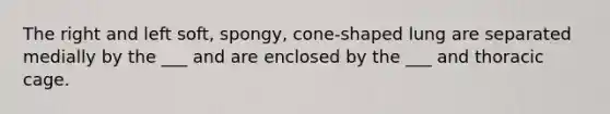 The right and left soft, spongy, cone-shaped lung are separated medially by the ___ and are enclosed by the ___ and thoracic cage.