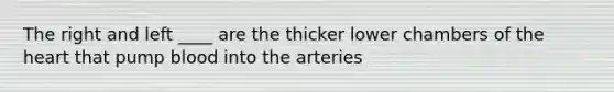 The right and left ____ are the thicker lower chambers of the heart that pump blood into the arteries