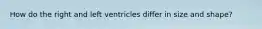 How do the right and left ventricles differ in size and shape?