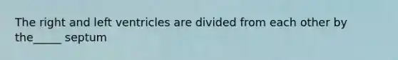 The right and left ventricles are divided from each other by the_____ septum