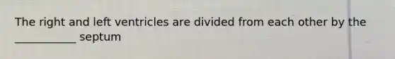 The right and left ventricles are divided from each other by the ___________ septum