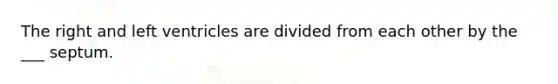 The right and left ventricles are divided from each other by the ___ septum.