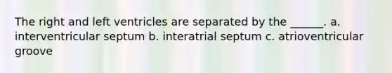 The right and left ventricles are separated by the ______. a. interventricular septum b. interatrial septum c. atrioventricular groove