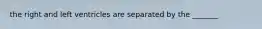 the right and left ventricles are separated by the _______