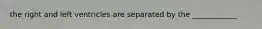 the right and left ventricles are separated by the ____________