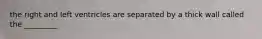 the right and left ventricles are separated by a thick wall called the _________