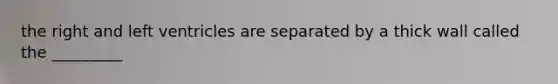 the right and left ventricles are separated by a thick wall called the _________