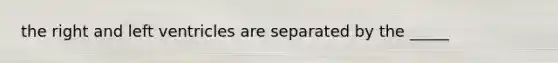 the right and left ventricles are separated by the _____