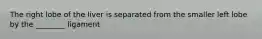 The right lobe of the liver is separated from the smaller left lobe by the ________ ligament