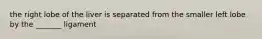 the right lobe of the liver is separated from the smaller left lobe by the _______ ligament