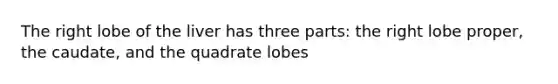 The right lobe of the liver has three parts: the right lobe proper, the caudate, and the quadrate lobes