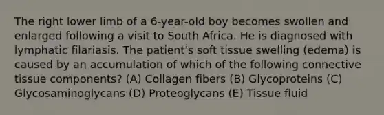 The right lower limb of a 6-year-old boy becomes swollen and enlarged following a visit to South Africa. He is diagnosed with lymphatic filariasis. The patient's soft tissue swelling (edema) is caused by an accumulation of which of the following connective tissue components? (A) Collagen fibers (B) Glycoproteins (C) Glycosaminoglycans (D) Proteoglycans (E) Tissue fluid