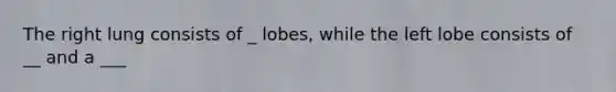 The right lung consists of _ lobes, while the left lobe consists of __ and a ___