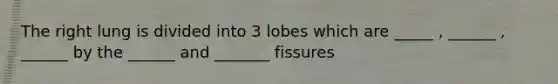 The right lung is divided into 3 lobes which are _____ , ______ , ______ by the ______ and _______ fissures