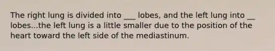 The right lung is divided into ___ lobes, and the left lung into __ lobes...the left lung is a little smaller due to the position of the heart toward the left side of the mediastinum.