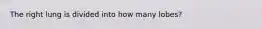 The right lung is divided into how many lobes?